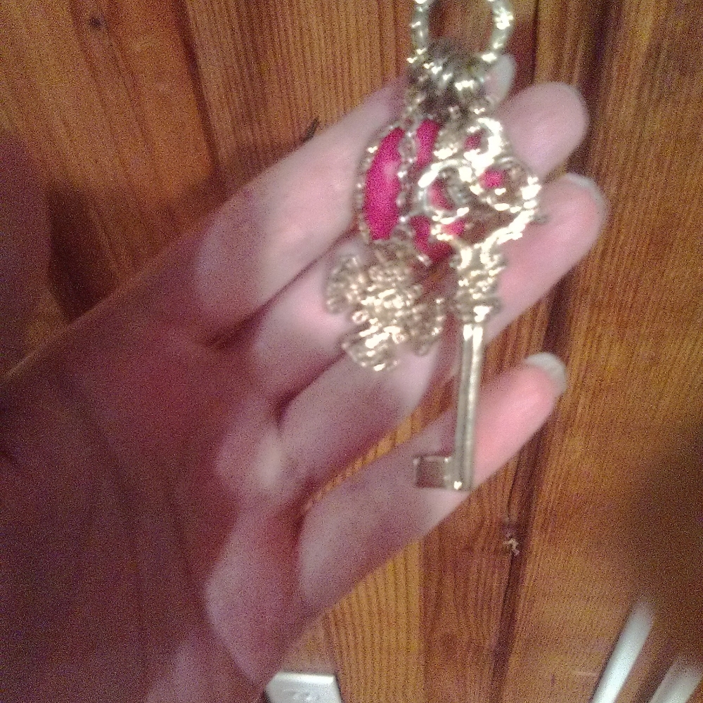 LOVELY LONG CHARM NECKLACE W/BONUS NECKLACE